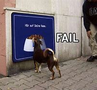 Image result for Dog Fail Meme