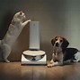 Image result for Samsung Robot Vacuum