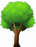 Image result for Tree Pics Clip Art