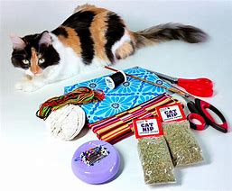 Image result for Catnip Toy