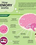 Image result for How Memory Works