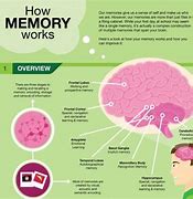Image result for Psychology Memory Free PPT