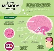 Image result for How Do Computer Memory Work