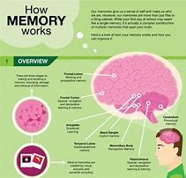Image result for How Memory Work in Animation