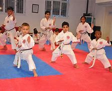 Image result for Karate Zen