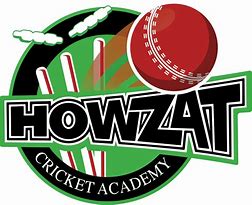 Image result for Cricket Coach