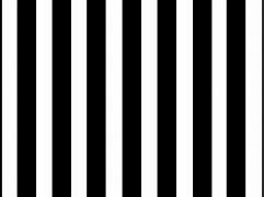 Image result for Black and White Screen Stripes On iPhone 6