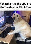 Image result for It's in the Computer Meme