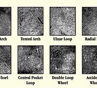 Image result for Fingerprint Science