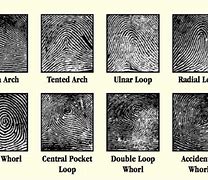 Image result for Fingerprint Minutiae Patterns