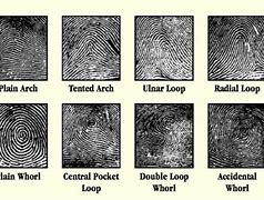 Image result for Fingerprint Minutiae Types