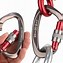 Image result for Climbing Carabiner Auto