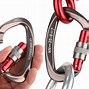 Image result for Climbing Carabiner Clips