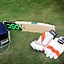 Image result for Cricket Kit