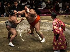 Image result for Sumo Wrestling Match in Hxh Anime