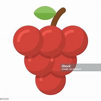 Image result for Decorative Grape Vine
