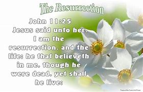 Image result for Christian Bible