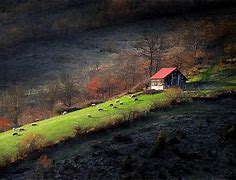 Image result for Serbia Wallpaper HD