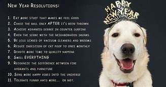 Image result for Funny Pet New Year Meme