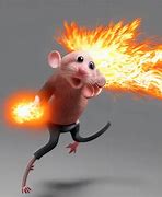 Image result for Rat Exploding Meme