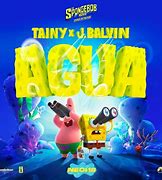 Image result for agua��j