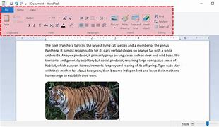 Image result for Unsaved WordPad Document Recovery