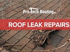 Image result for Green Acres Roof Leak