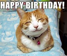 Image result for Funny Happy Birthday Kitty