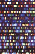 Image result for Whole Genome