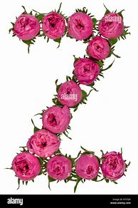 Image result for Flower Letter Z