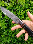 Image result for Giant Sharpest Knife