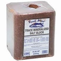 Image result for Trace Mineral Block