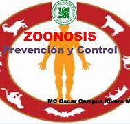 Image result for co_oznacza_zoonoza