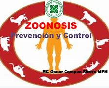 Image result for co_to_znaczy_zoonoza