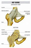Image result for Ball and Socket Joint Mechanical