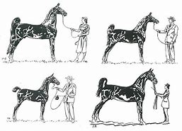 Image result for Brown Horse Clip Art