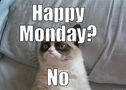 Image result for Grumpy Cat Monday Meme