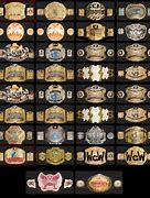 Image result for Every WWE Championship Belt
