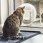 Image result for Cat Doors