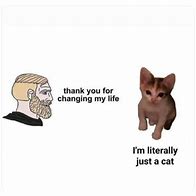 Image result for Jesus Cat Meme