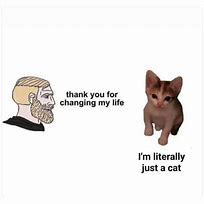 Image result for Anti Cat Meme
