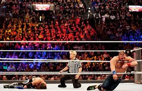 Image result for Professional WWE Wrestling