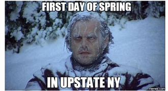 Image result for New York State Memes