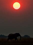 Image result for Kenya Safari Parks