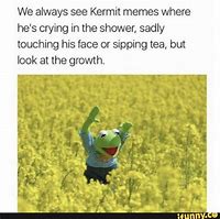 Image result for Kermit Sipping Tea Meme
