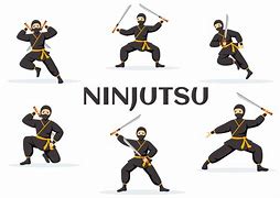 Image result for Ninjutsu Fighting