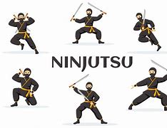 Image result for Ninjutsu