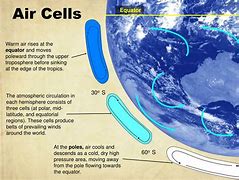 Image result for Accessory Air Cells