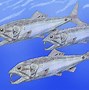 Image result for Small Prehistoric Fish