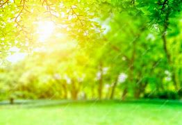 Image result for Nature BG